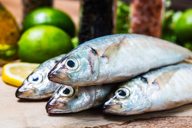 Produksi Ikan dan Rumput Laut RI Rendah Semester I-2024